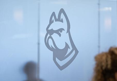 bulldogs logo on wall