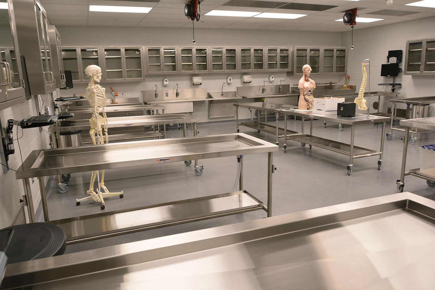 Gross Anatomy Lab