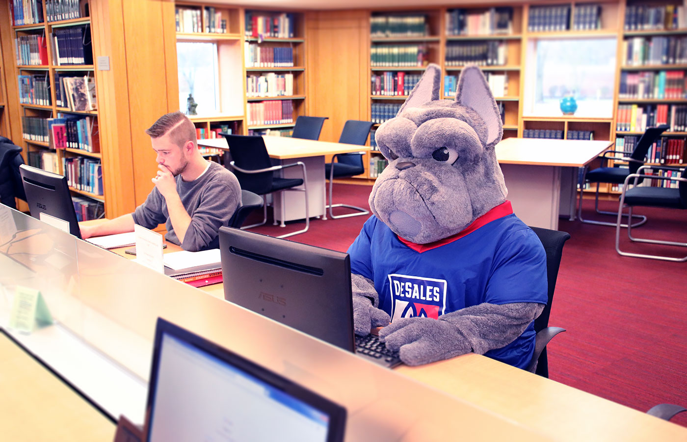 DSU Bulldog Studies for finals